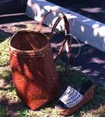 Revelle Balmain's bag and shoe